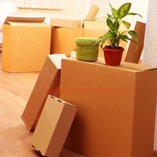 Black Stone Cargo Movers Jaipur
